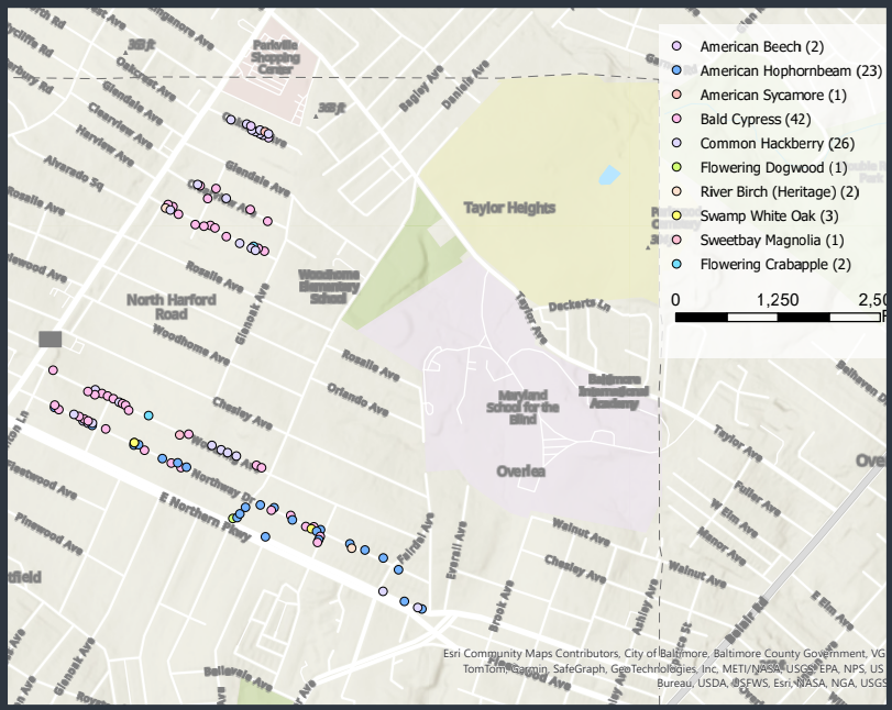 Map of newly planted trees in the NHRCA area